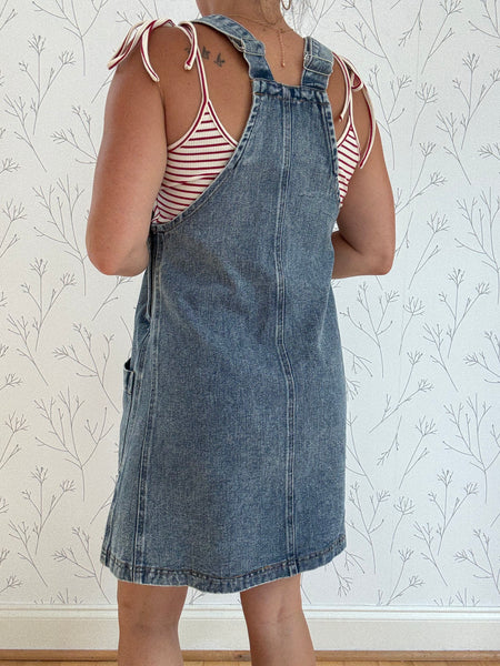 Strawberry Wine Denim Dress
