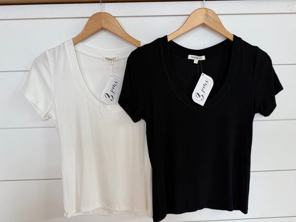 Back To Basics Top