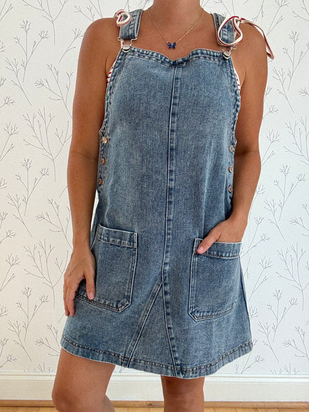 Strawberry Wine Denim Dress
