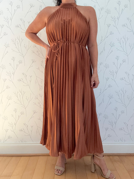 Harvest Veil Pleated Dress